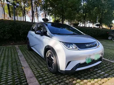 2021 BYD Dolphin 405km Freedom Edition, фото 2, лот 10478674