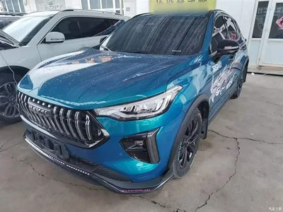 2021 Haval Chitu Turbo Edition 1.5T Golden Rabbit, фото 2, лот 10287029