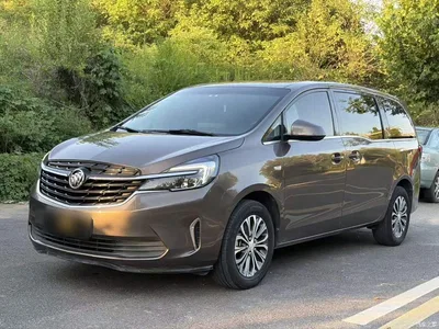 2022 Buick GL8 Land Business Class 652T Comfort, фото 1, лот 10262253
