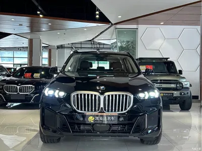 2023 BMW X5 xDrive 30Li Premium M Sport Black Night Package, фото 3, лот 10463178