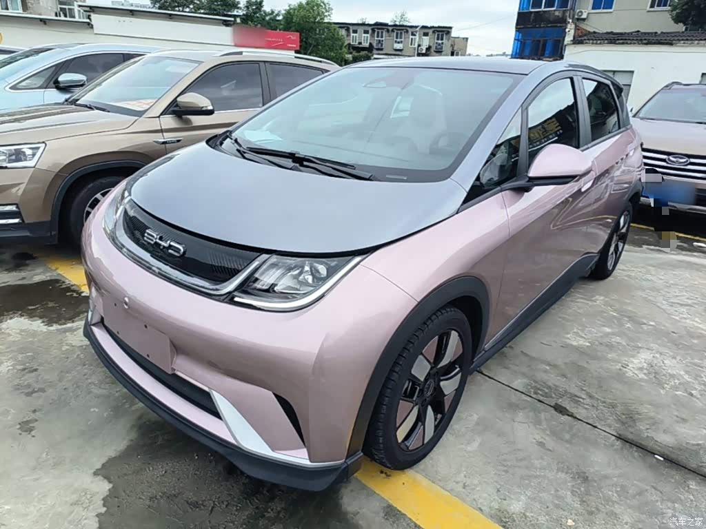 2021 BYD Dolphin 401km Knight Edition, фото 2, лот 11215759