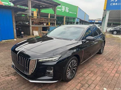 2023 Hongqi H5 2.0T Auto Smart Connect Flag Comfort, фото 1, лот 10415750
