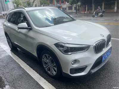 2018 BMW X1 sDrive20Li Leading Model, фото 3, лот 10465551
