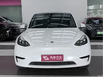 2024 Tesla Model Y Rear-Wheel Drive Version, фото 3, лот 10403708