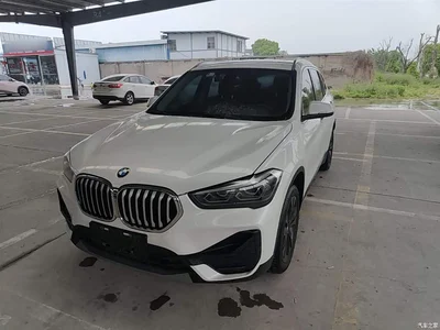2020 BMW X1 sDrive20Li Fashion Model, фото 1, лот 10467831