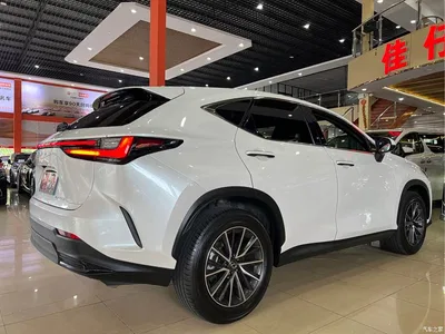2023 Lexus NX 350h FWD Joy Creation Edition, фото 4, лот 10314365
