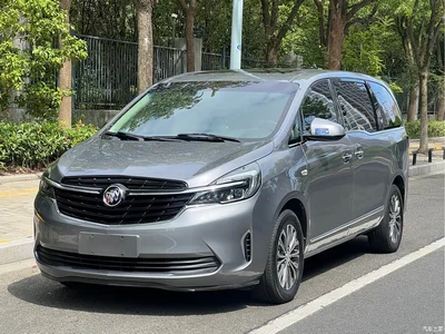 2021 Buick GL8 Land Business Class 652T Luxury, фото 1, лот 10256733