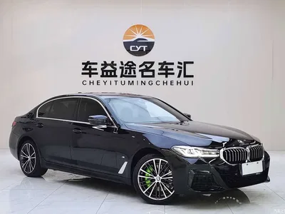 2022 BMW 5 Series 530Li Leading M Sport Package, фото 3, лот 11548175