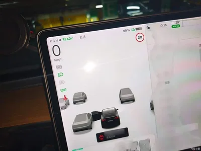 2021 Tesla Model Y Standard Range Rear-Wheel Drive, фото 4, лот 10370735