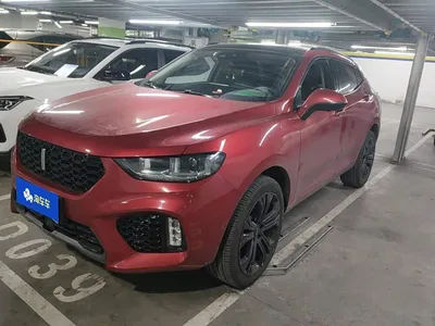 2017 WEY VV5 2.0T Flagship Model, фото 1, лот 10404217