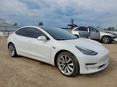 2019 TESLA MODEL 3, фото 4, лот 10854015