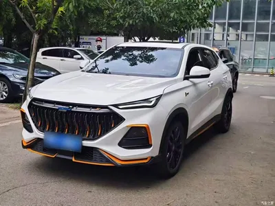 2022 Changan Oshan Changan Oushang X5 Sport Edition 1.5T DCT Whirlwind Charge, фото 1, лот 11162705