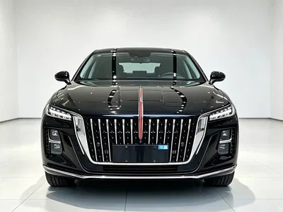 2025 Hongqi H5 1.5T DCT Flag Rhythm 500,000 Units Memorial Edition, фото 2, лот 11580720