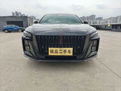 2025 Hongqi H5 2.0T Automatic Mystic Shadow, фото 2, лот 10285559