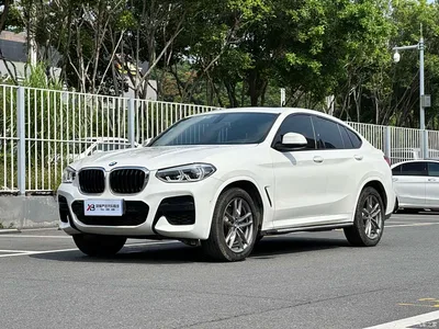 2019 BMW X4 xDrive25i M Sport Package, фото 1, лот 10422101