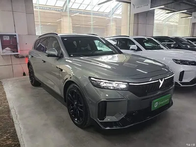 2025 Voyah Auto VOYAH FREE 318 259km 4WD Explorer Edition, фото 4, лот 11133117