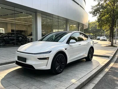 2025 Tesla Model Y Model Rear-Wheel Drive Launch Edition, фото 1, лот 10453538