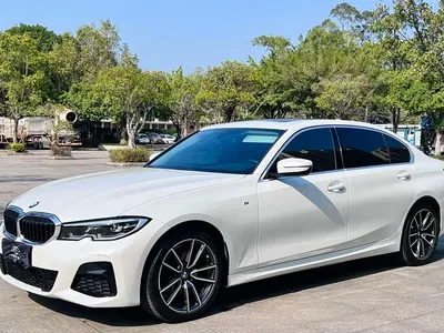 2020 BMW 3 Series 320Li M Sport Package, фото 2, лот 11211214