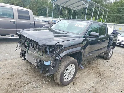 2025 TOYOTA TACOMA SR5, фото 1, лот 11301506