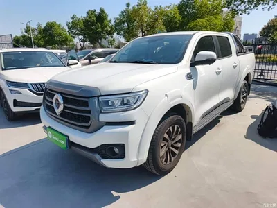 2024 Great Wall Pao Model 2.4T Passenger Version Automatic Diesel 4WD Comfort Type, фото 1, лот 11583224