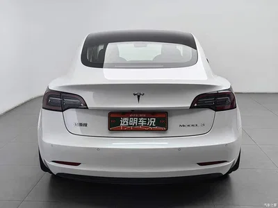 2019 Tesla Model 3 Standard Range Rear-Wheel Drive Upgrade, фото 4, лот 11138967