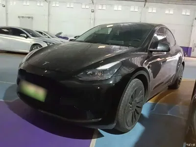 2022 Tesla Model Y Facelift Rear-Wheel Drive Version, фото 1, лот 11549613