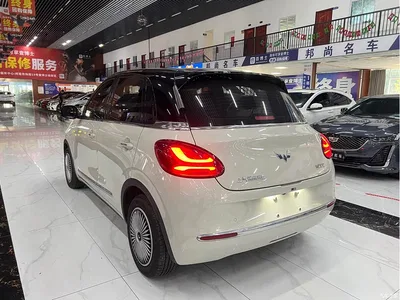 2025 Wuling Motors Wuling Bingo Model 333km Joy Edition, фото 3, лот 10354910