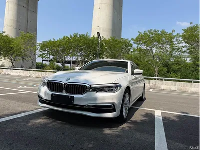 2020 BMW 5 Series 530Li Leading Luxury Package, фото 1, лот 11538240