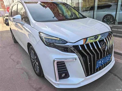 2020 Buick GL8 ES Landglory 653T Flagship, фото 3, лот 10252484