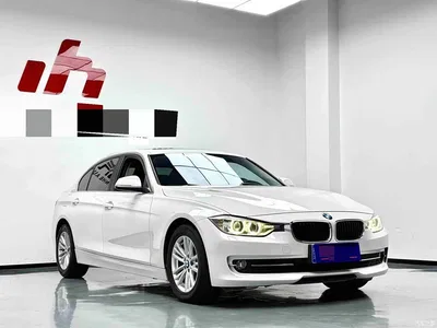 2015 BMW 3 Series 320Li Super Joy Fashion, фото 3, лот 10605189