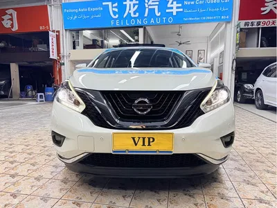 2019 Nissan Murano 2.5L XL 2WD Smart Connect Luxury Edition (China VI), фото 3, лот 11217326