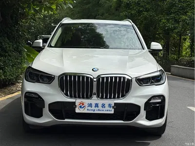 2019 BMW X5 (Import) xDrive40i M Sport Package, фото 2, лот 10804282