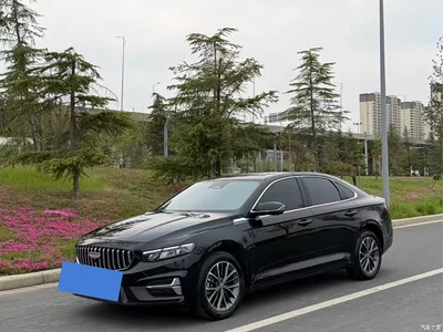 2025 Geely Xing Rui Oriental Glory 1.5TD Soaring Edition, фото 1, лот 11171185