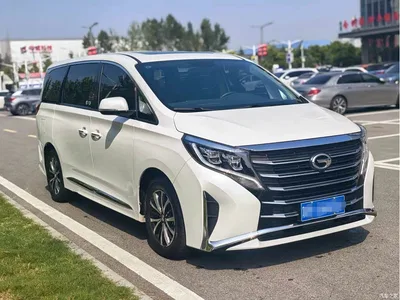 2024 GAC Trumpchi Trumpchi M8 Leadershow Series 390T Luxury Edition, фото 3, лот 10418675