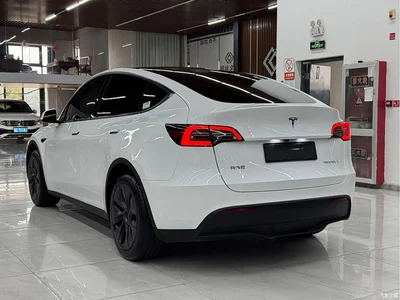 2024 Tesla Model Y Rear-Wheel Drive Version, фото 4, лот 10454379