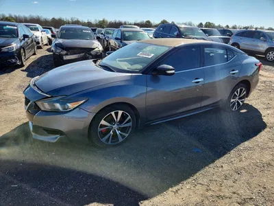 2017 NISSAN MAXIMA 3.5S, фото 1, лот 10762505