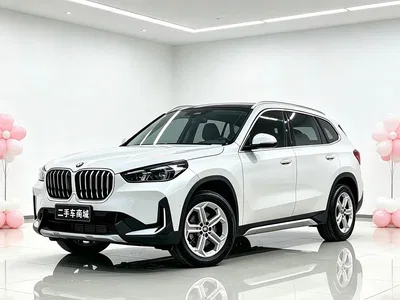 2024 BMW X1 xDrive25Li M Sport Package, фото 1, лот 10466350