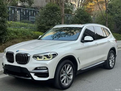 2018 BMW X3 xDrive25i Luxury Package China V, фото 1, лот 10461758