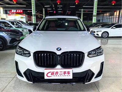 2023 BMW X3 xDrive30i Leading M Night Package, фото 3, лот 10461637
