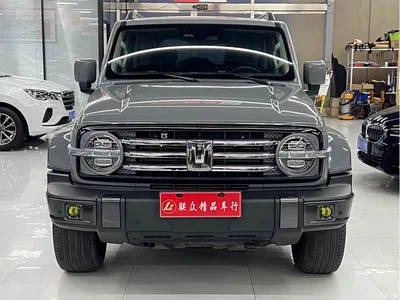 2021 Tank 300 Urban Edition 2.0T Stylish, фото 1, лот 10345118