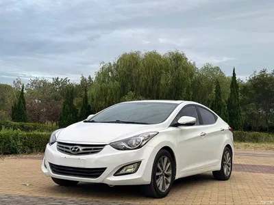 2015 Hyundai Langdong 1.6L Auto Premium, фото 1, лот 10832014