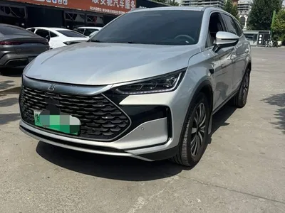2026 BYD Tang New Energy DM-i 115KM Premium, фото 1, лот 10435171