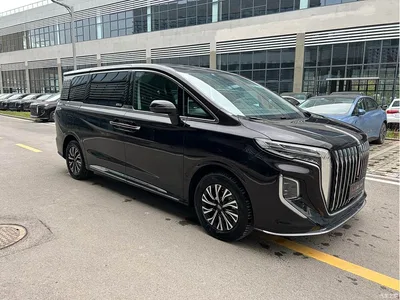 2024 Hongqi HQ9 PHEV Model 2.0T AWD Business Edition, фото 3, лот 10287847