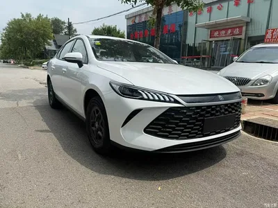 2026 BYD Qin PLUS DM-i 128KM Progressive, фото 3, лот 10363051