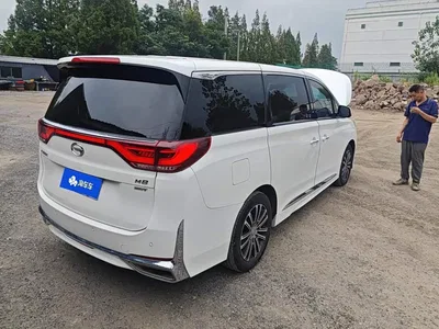 2021 GAC Trumpchi Trumpchi M8 Leading Show Series 390T Prestige Edition, фото 3, лот 10893575