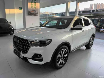 2023 Haval H6 National Trend Edition 1.5T Automatic Champion, фото 1, лот 11002435
