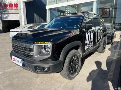 2024 Haval Big Dog Model 2.0T DCT 4WD Chinese Rural Dog Hunting Edition, фото 1, лот 10402340