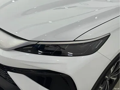 2025 BYD Song Pro New Energy 2nd Generation Smart Drive Edition DM-i 75KM Leading Type, фото 3, лот 11216227
