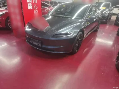 2025 Tesla Model 3 Model Rear-Wheel Drive Edition, фото 1, лот 10463931