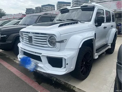 2023 Tank 300 Off-Road Edition 2.0T Conqueror, фото 1, лот 10889901